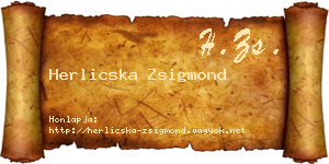 Herlicska Zsigmond névjegykártya