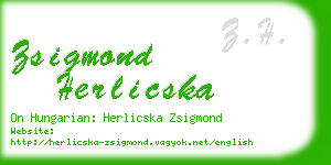 zsigmond herlicska business card